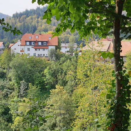 Kleines Wiesental Ferienwohnung Auf Dem Bueckle מראה חיצוני תמונה