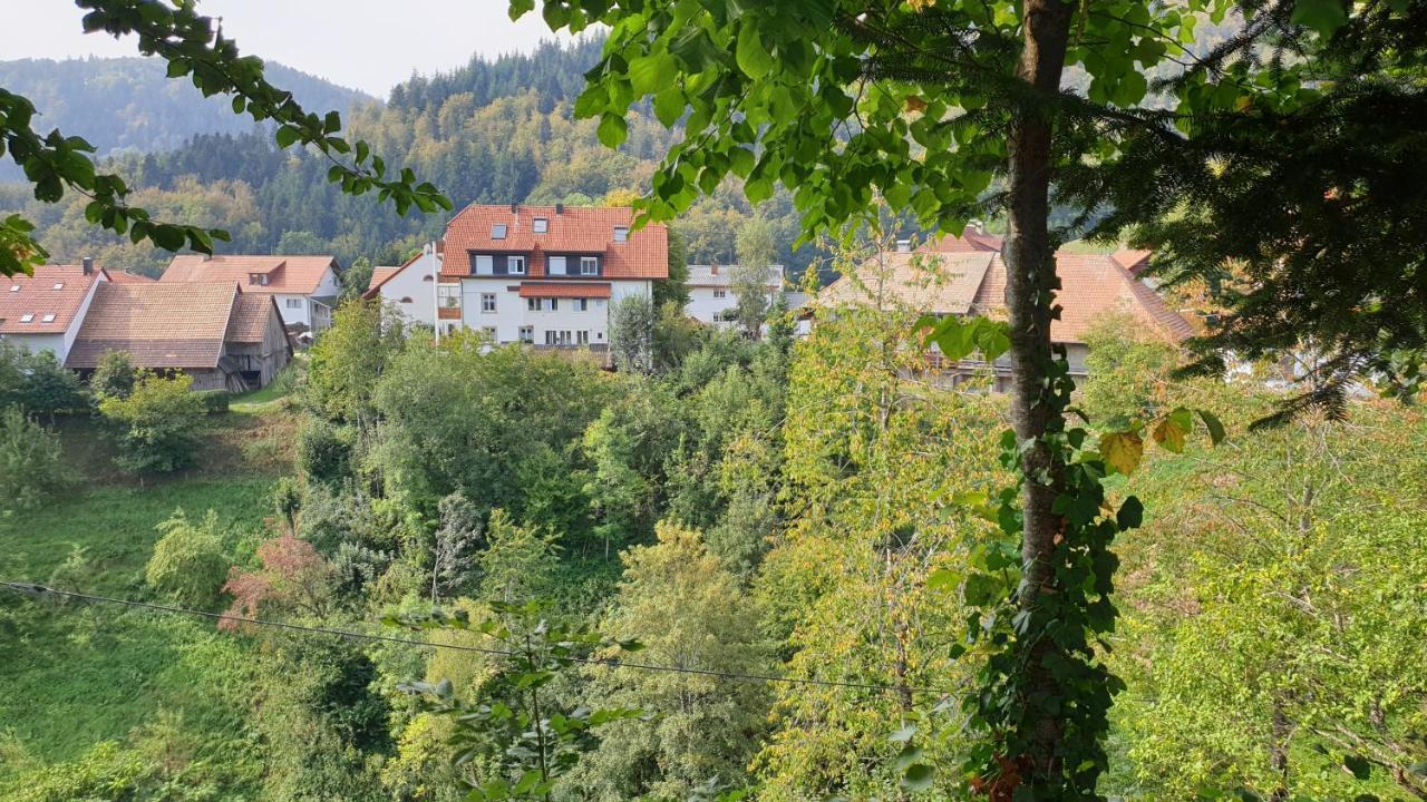 Kleines Wiesental Ferienwohnung Auf Dem Bueckle מראה חיצוני תמונה